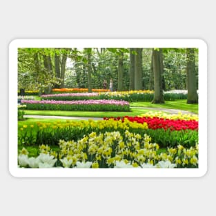 Keukenhof Tulip Festival, Holland Magnet